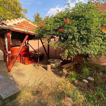 Vila Arpad Nyaralohaz Sarud Exteriér fotografie