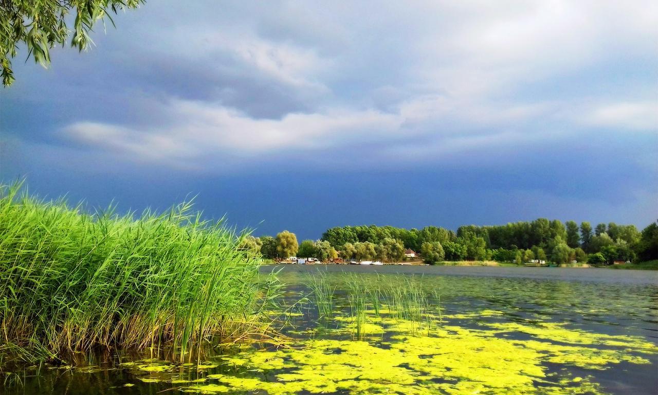 Vila Arpad Nyaralohaz Sarud Exteriér fotografie